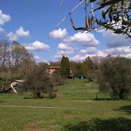 La Contea Rom