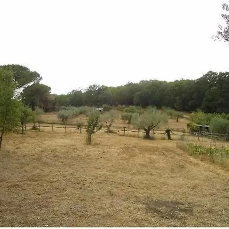 Gasthof La Contea Rom
