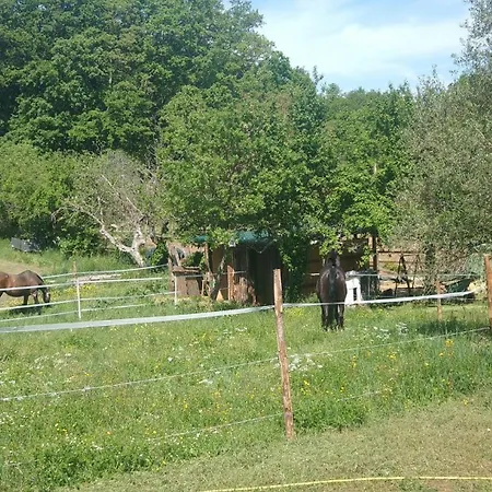 La Contea 4* Ρώμη