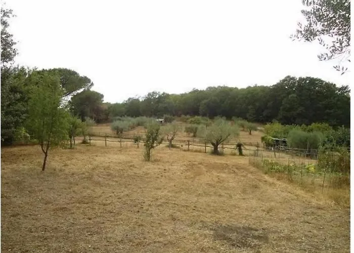 Casa de hóspedes La Contea Roma