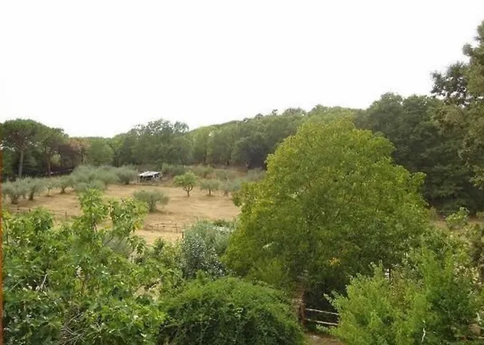 La Contea Casa de hóspedes